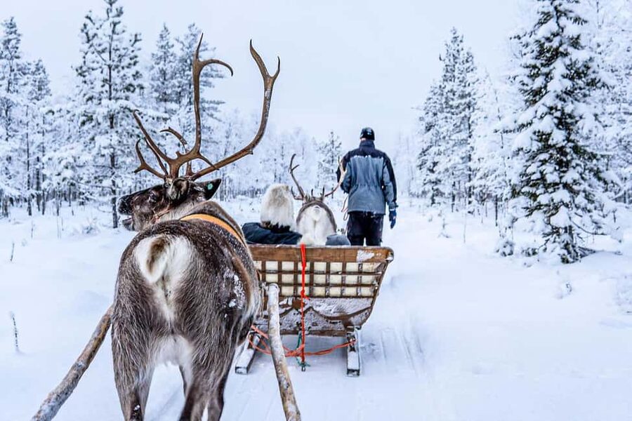 From Rovaniemi: Reindeer Farm Visit with Sleigh Ride - Price and what you are really paying for