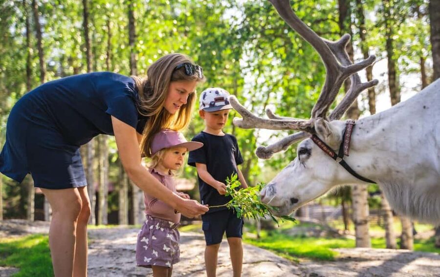 From Rovaniemi: Reindeer Farm Visit with Sleigh Ride - Practical tips for staying comfortable and getting better photos