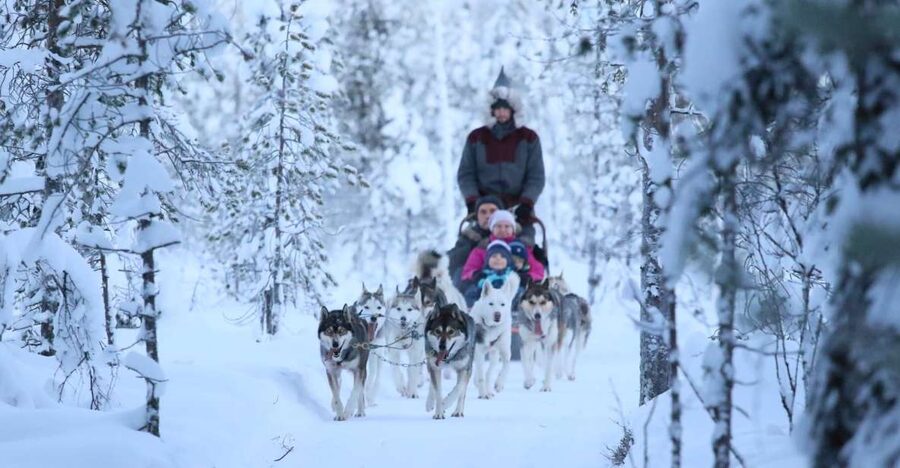 From Rovaniemi: Self-Driven 10km Husky Sled Ride - Key highlights you should care about