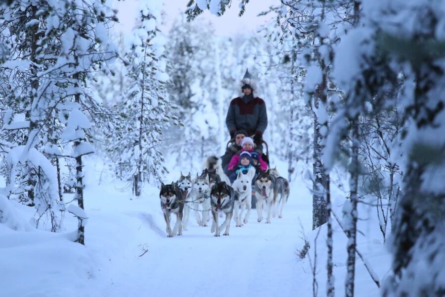 From Rovaniemi: Self-Driven 10km Husky Sled Ride - The Husky Kennel Visit: Meet the Team Before You Ride