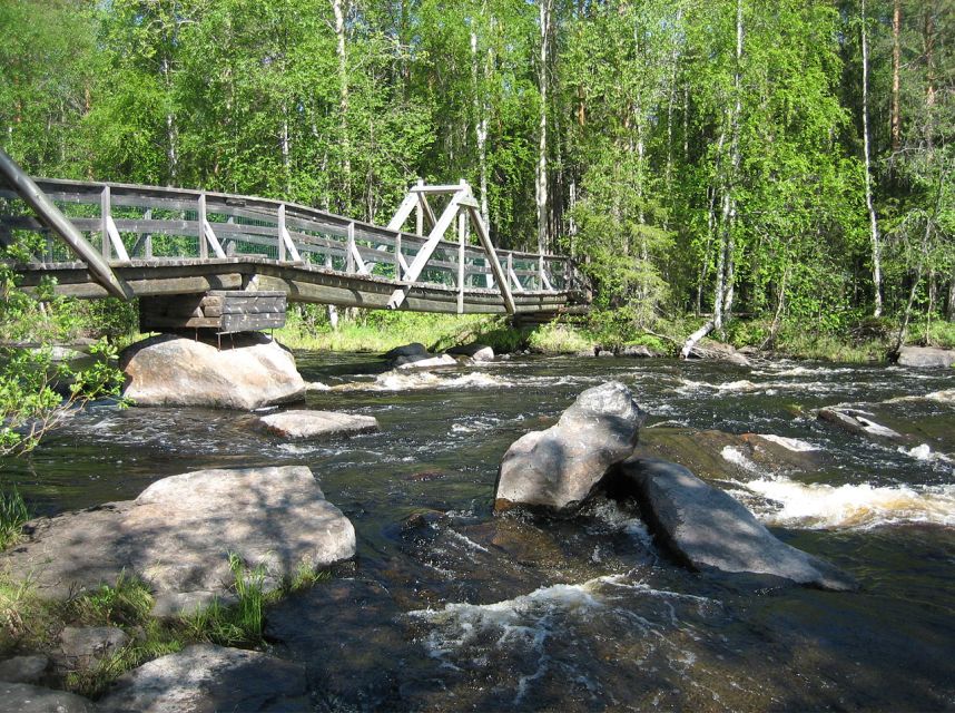 From Rovaniemi: Vikaköngäs Forest Hiking Tour - Key takeaways before you go
