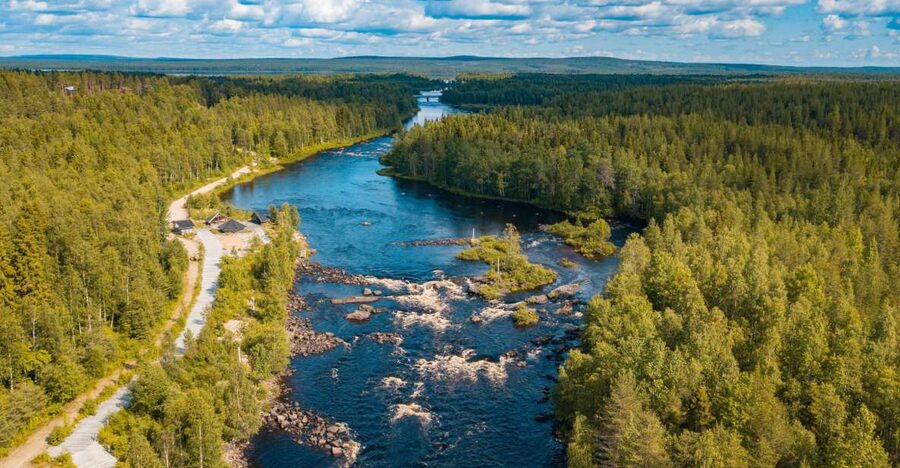 From Rovaniemi: Vikaköngäs Forest Hiking Tour - From Rovaniemi To Vikaköngäs: Short Ride, Big Nature Feel