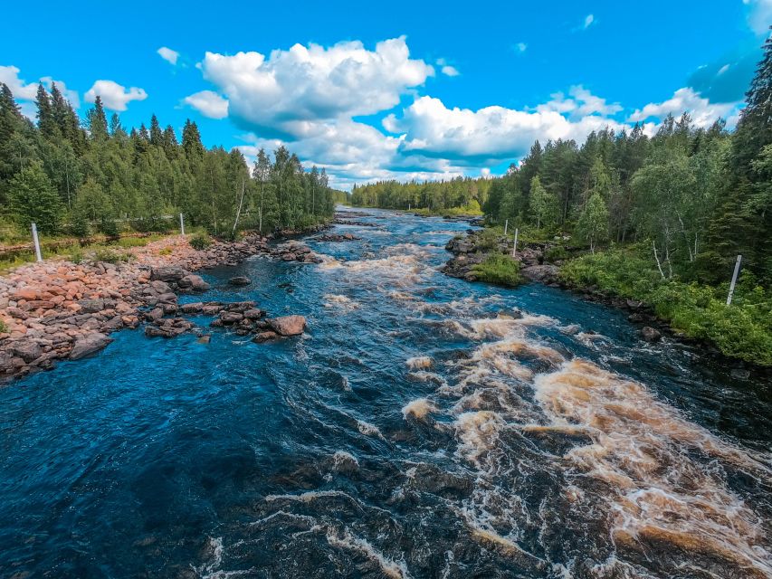 From Rovaniemi: Vikaköngäs Forest Hiking Tour - The Wooden Hanging Bridge: Listening for the Water Below