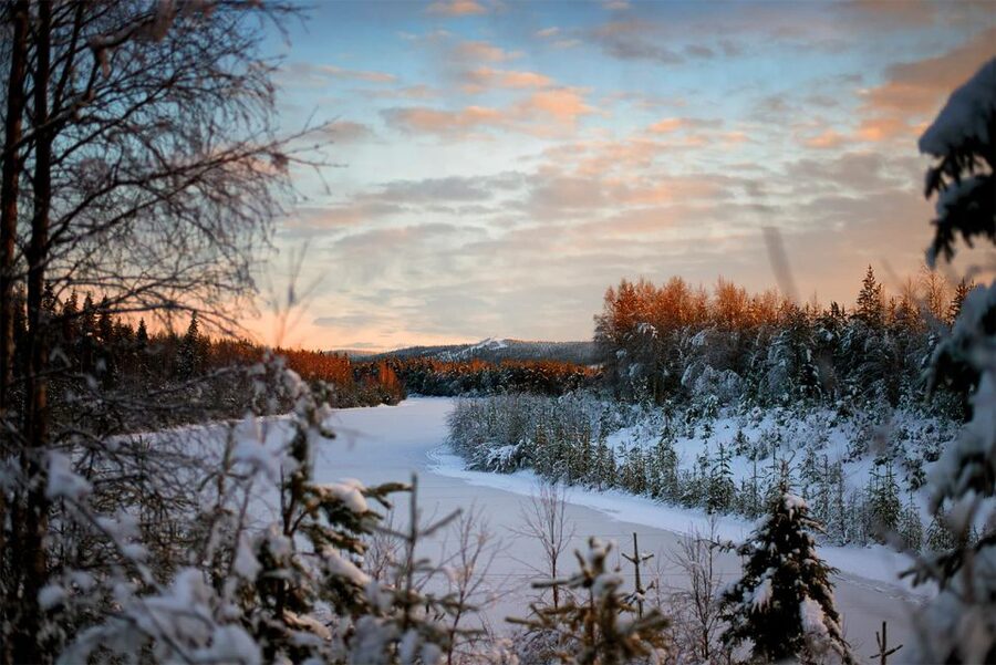 From Rovaniemi: Vikaköngäs Forest Hiking Tour - Price and Logistics: Does $123 Make Sense?