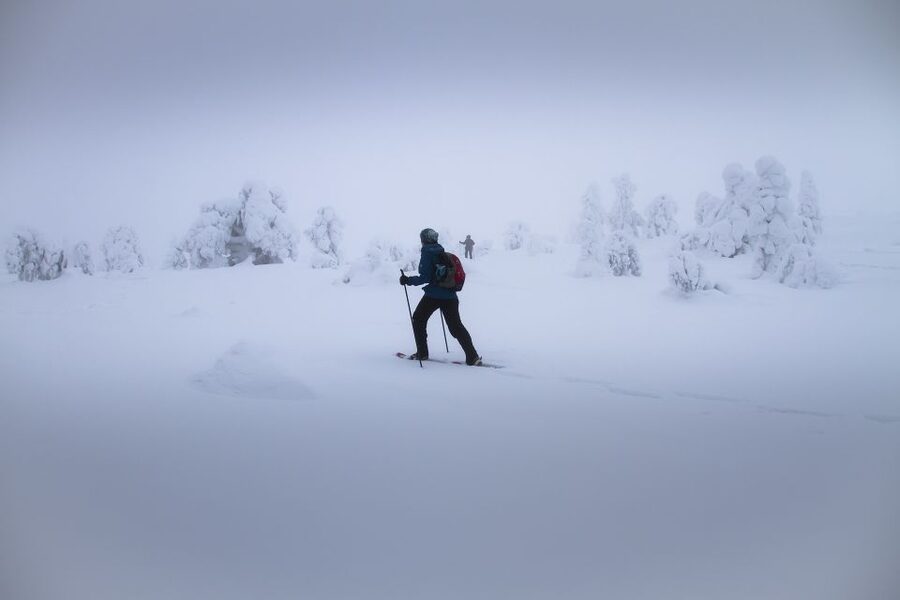 From Rovaniemi: Winter Wonderland Hike with a Hot Drink - Getting Out of Rovaniemi Fast, Into Real Lapland Winter