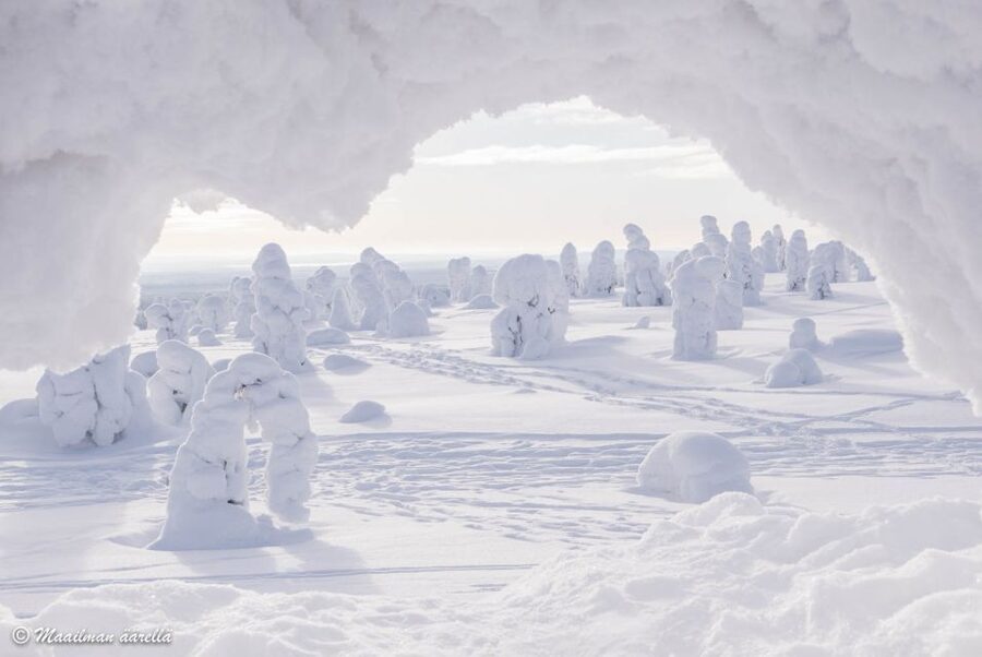 From Rovaniemi: Winter Wonderland Hike with a Hot Drink - Price and Value: Is $282 Worth It?