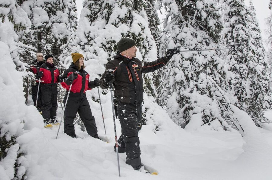 From Ruka: Snowshoeing in Oulanka National Park - Group size and guides: small keeps it personal