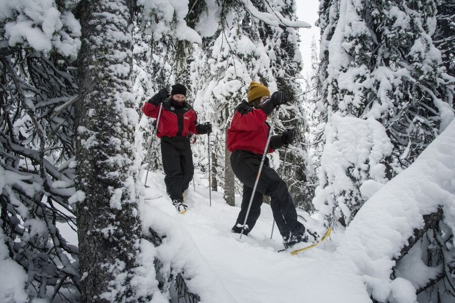 From Ruka: Snowshoeing in Oulanka National Park - Why the Little Bears Trail fits real beginners
