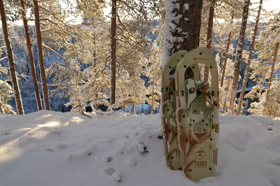 From Ruka: Snowshoeing in Riisitunturi National park - Key Things I Think You’ll Notice