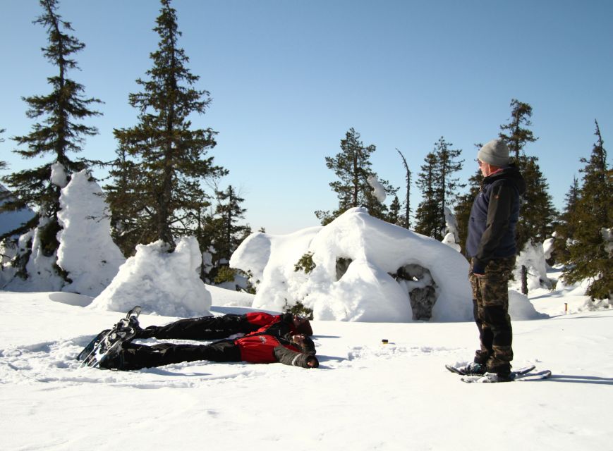 From Ruka: Snowshoeing in Riisitunturi National park - Riisitunturi National Park Views You Can Reach in One Half-Day