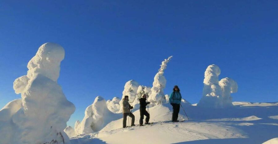 From Ruka: Snowshoeing in Riisitunturi National park - Walking Through Snow-Covered Forest, Then Up for Panoramic Ground