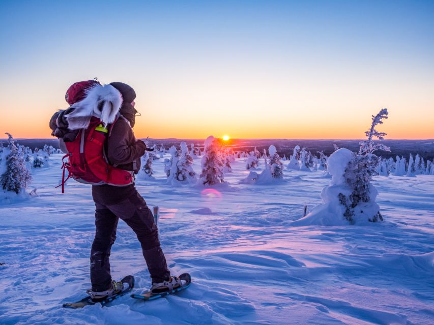 From Ruka: Snowshoeing in Riisitunturi National park - Booking Smart: What to Bring and How to Prepare