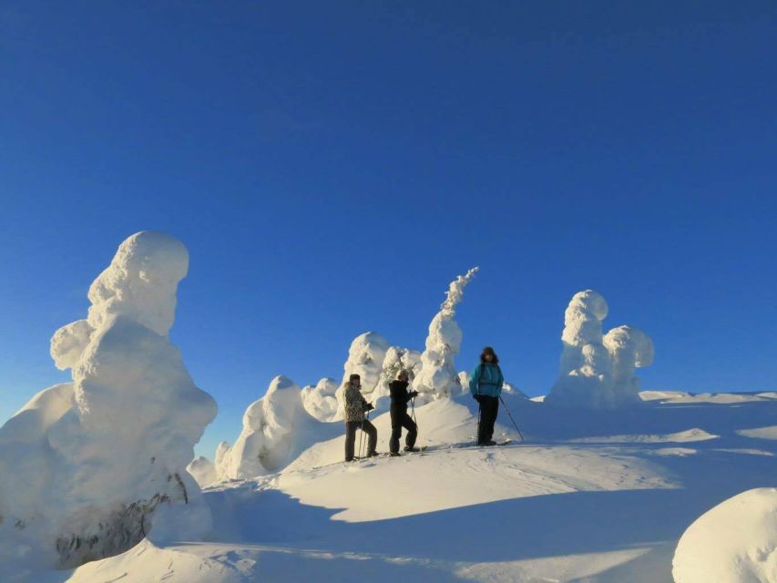 From Ruka: Snowshoeing in Riisitunturi National park - From Ruka Pickup to the Trailhead, Why the Timing Matters