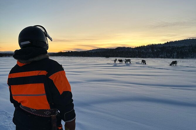From Saariselkä: Ice Fishing Tour to Lake Inari, reindeers &lunch - Price and value: what $215.54 covers