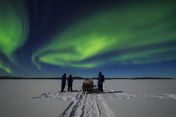 From Saariselkä: Northern lights tour to Lake Inari, incl. dinner - Key things I’d pin on your fridge