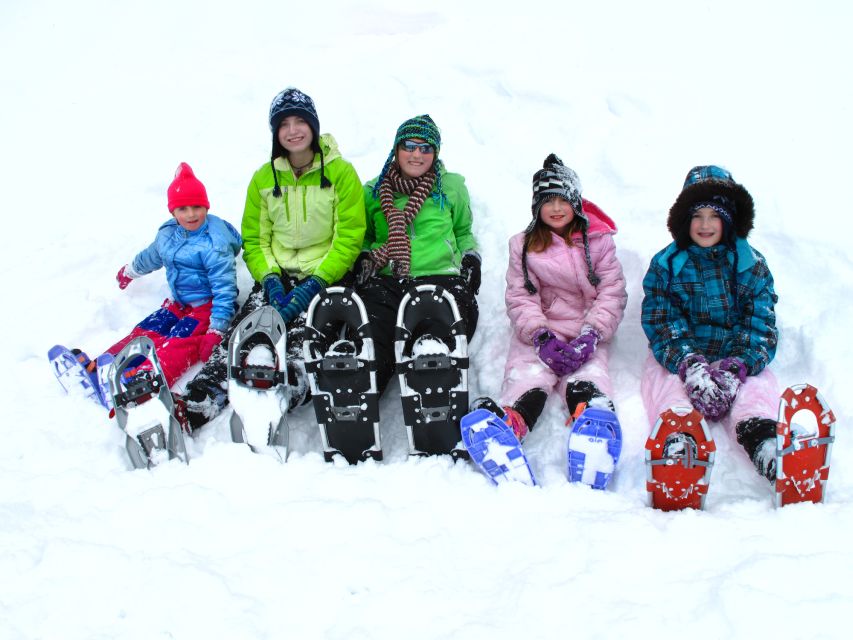 From Sirkka: Levi Summit Guided Nature Snowshoeing Tour - Key Points at a Glance