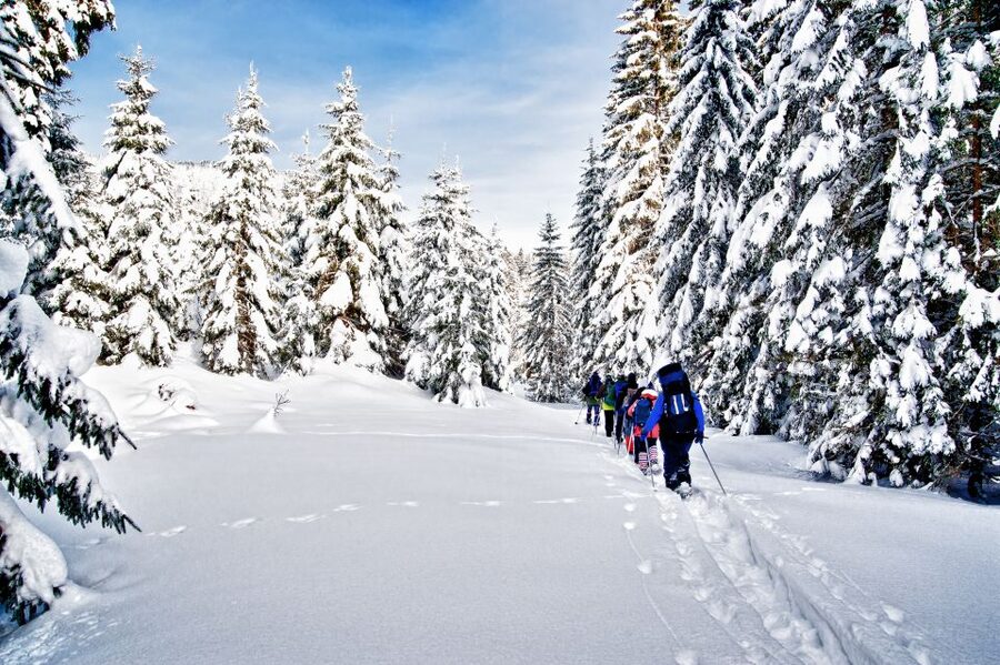 From Sirkka: Levi Summit Guided Nature Snowshoeing Tour - Snowshoeing to Levi Summit: What the Walk Feels Like