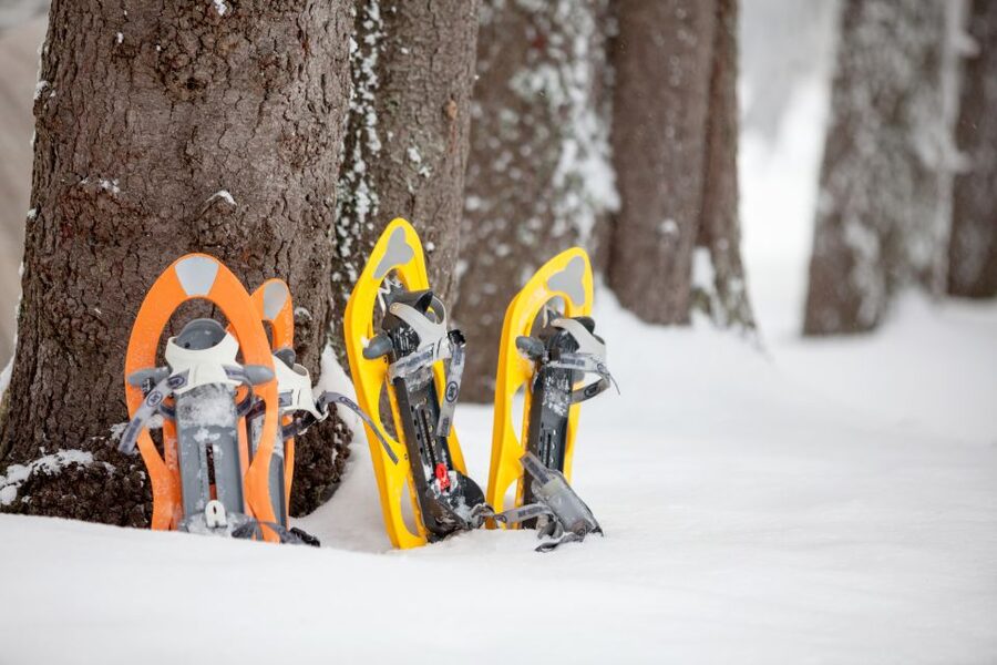 From Sirkka: Levi Summit Guided Nature Snowshoeing Tour - Gear and Winter Overalls: Comfort First, Then Confidence