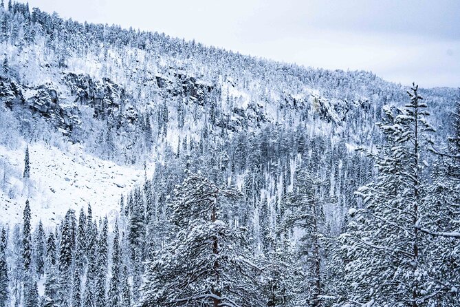 Frozen Waterfalls of Korouoma Canyon tour with Pro Photos & BBQ - Photo help that actually helps: how Pro Photos changes your results