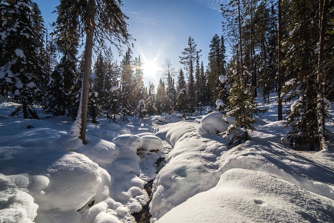 Frozen Waterfalls of Korouoma Canyon tour with Pro Photos & BBQ - BBQ lunch in the wild: more than just food