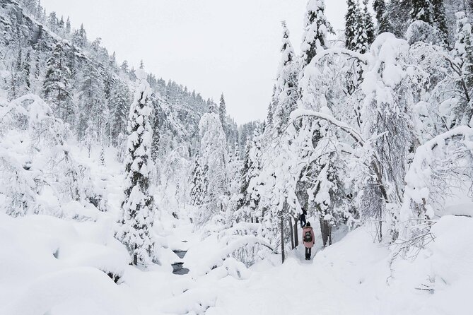 Frozen Waterfalls of Korouoma Canyon tour with Pro Photos & BBQ - Winter gear: what’s included, and how to use it