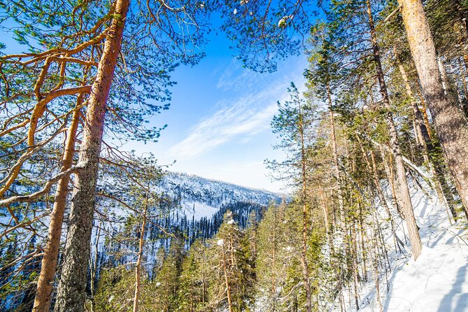 Frozen Waterfalls of Korouoma Canyon tour with Pro Photos & BBQ - Guide quality and group size: why 15 matters