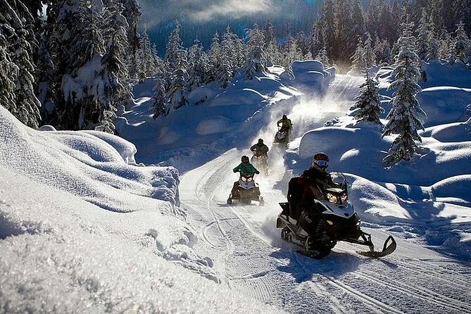 Full Day Snowmobile Safari - Rovaniemi Pickup and the Day’s Real Schedule