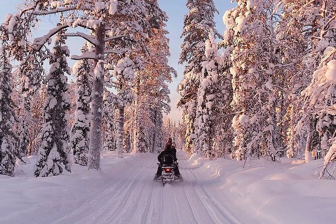 Full Day Snowmobile Safari - Campfire Barbecue Lunch: The Reset You’ll Thank Yourself For