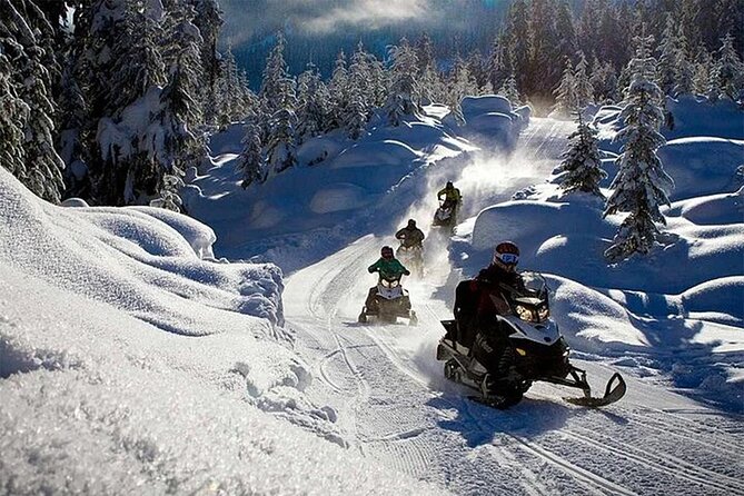Full Day Snowmobile Safari - Twin Driving and Child Rules: Read This Part Carefully