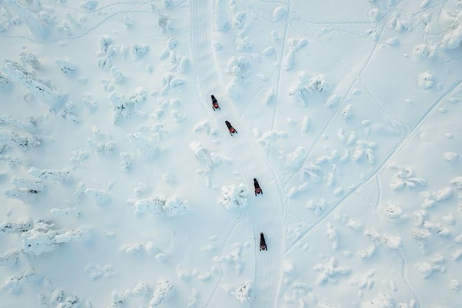 Full Day Snowmobile Safari into the Lappish Wilderness in Rovaniemi - Riding Into the Lapland Wilderness: Less-Used Tracks, Quiet Views, and Powder When You Get It