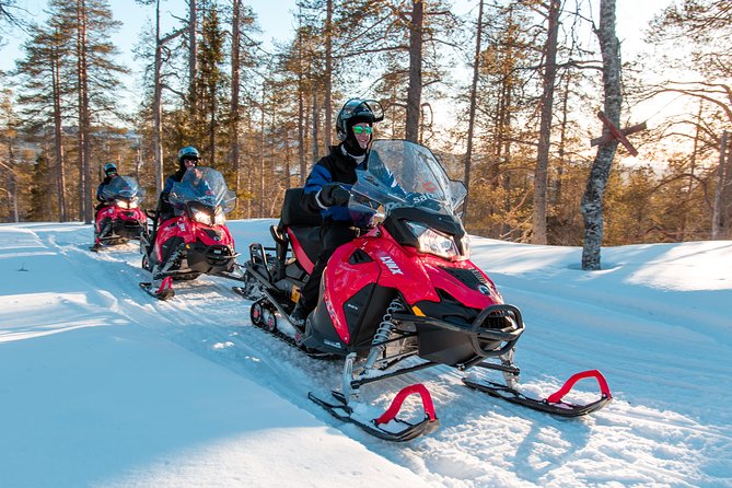 Full Day Snowmobile Safari into the Lappish Wilderness in Rovaniemi - Who This Snowmobile Safari Suits Best