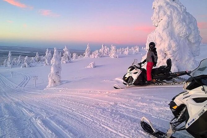 Full Day Snowmobile Safari - Snowmobile Basics: Licensing, Seats, and Beginner Reality