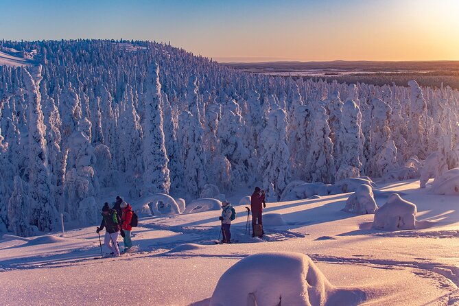 Full-Day Snowshoeing Adventure in Amethyst Mine Pyhä Luosto - Weather, fitness, and making the day go smoothly