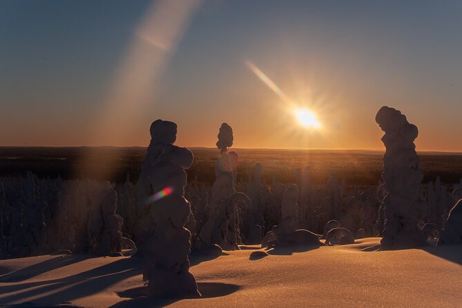 Full-Day Snowshoeing Adventure in Amethyst Mine Pyhä Luosto - Who this tour is best for