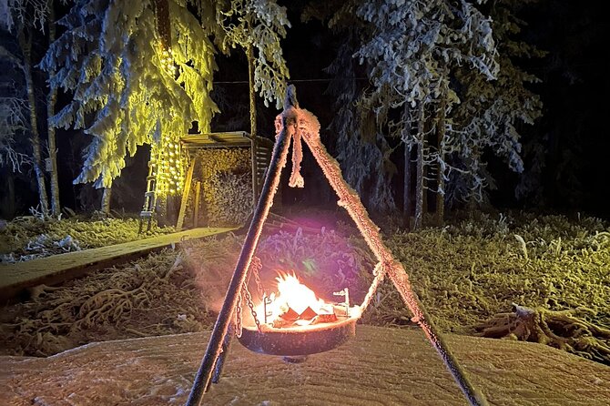Glass Igloo Campfire Dinner under Northern Lights - The dinner itself: three courses, unlimited glögi, and real comfort