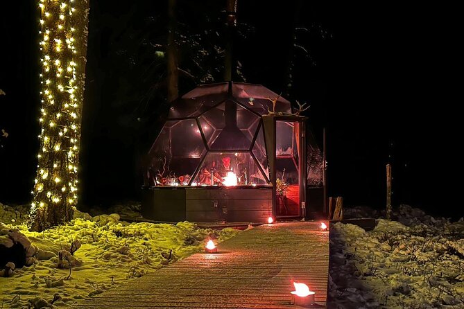 Glass Igloo Campfire Dinner under Northern Lights - The frozen-lake snowmobile ride: a fun add-on after dinner