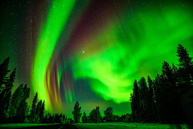 Guaranteed Northern Lights Hunting Adventure in Lapland - How the 7-Hour Aurora Hunt Plays Out Night After Night