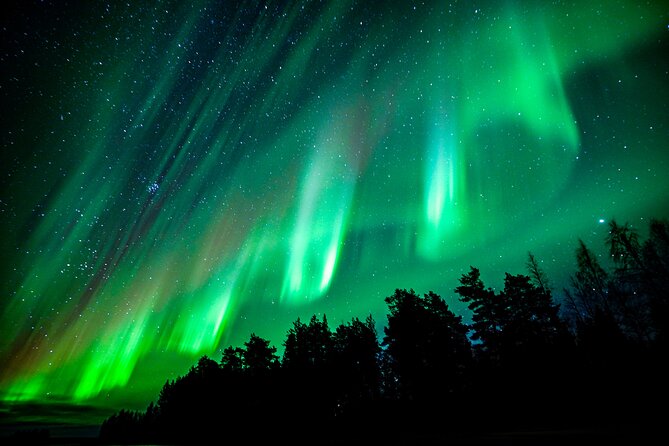 Guaranteed Northern Lights Hunting Adventure in Lapland - Price and Value: What You Pay for at $238.85