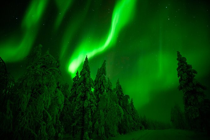 Guaranteed Northern Lights Hunting Adventure in Lapland - Getting Picked Up in Rovaniemi and Dressed for Real Winter
