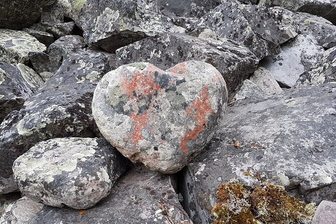 Guided easy hike in Finland deepest gorge in Pyhä-Luosto National Park - Price and value: what $80.95 buys you