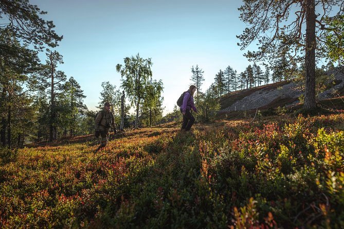 Guided easy hike in Finland deepest gorge in Pyhä-Luosto National Park - Timing: how long it takes and how to fit it into your day
