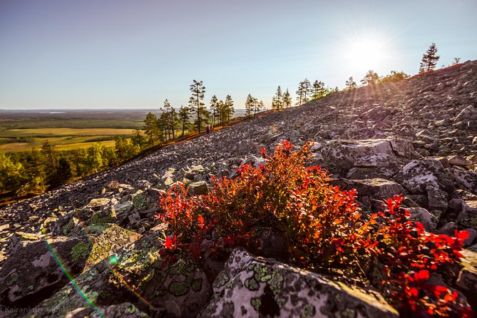 Guided easy hike in Finland deepest gorge in Pyhä-Luosto National Park - Luosto start: driving in and catching the Pyhä-Luosto mood