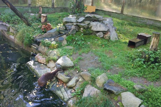 Guided Ranua Wildlife Park tour with Lunch, Small group adventure - Timing, pacing, and how 5 to 6 hours can feel in the snow