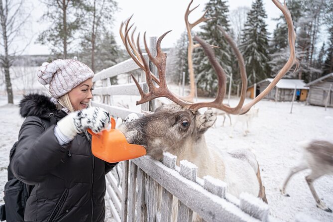 Half-Day Experience in Local reindeer farm in Lapland - Who This Tour Fits Best, and Who Might Want Another Option