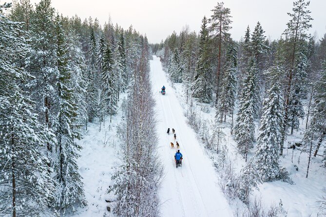 Half-Day Husky Safari and Salmon Ice Fishing Experience - Husky safari time: steering, switching seats, and musher support