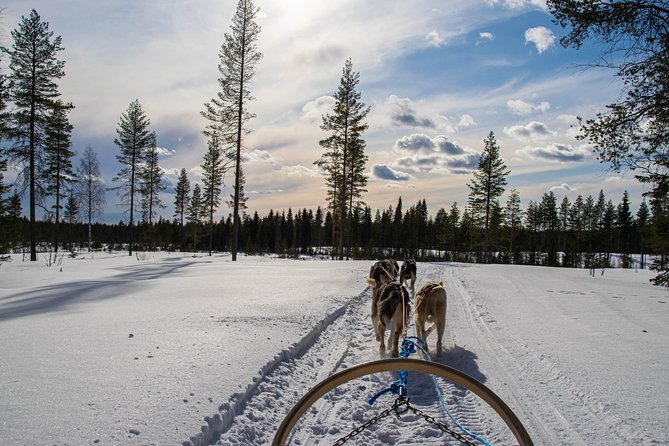 Half-Day Husky Safari and Salmon Ice Fishing Experience - The kota snack stop, Finnish stories, and the warmth that closes the loop