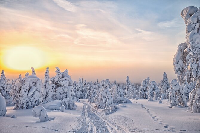 Hike to Frozen Waterfalls of Korouoma Including BBQ Lunch from Rovaniemi - The hike itself: frozen waterfalls, steep snow, and when you need patience