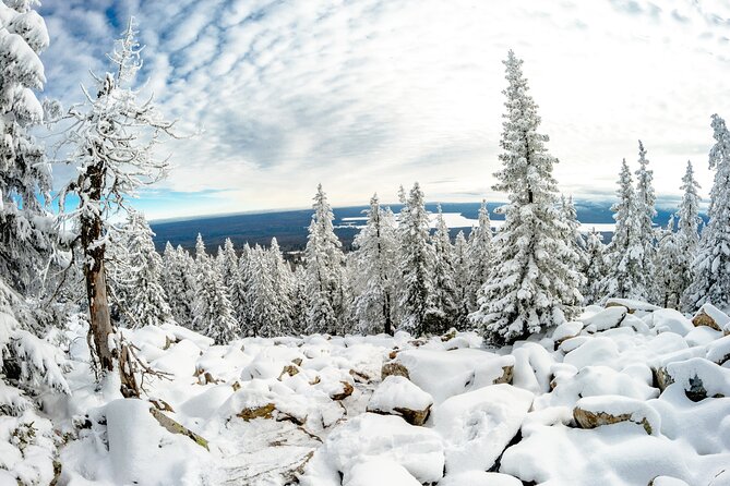 Hike to Frozen Waterfalls of Korouoma Including BBQ Lunch from Rovaniemi - Price and value: what you pay for and what it replaces