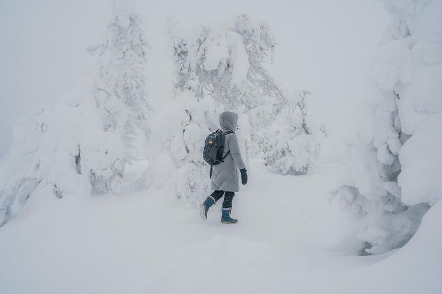 Hiking in Riisitunturi National Park with Photographer - Getting to Riisitunturi from Rovaniemi: Long Van Time, Big Payoff