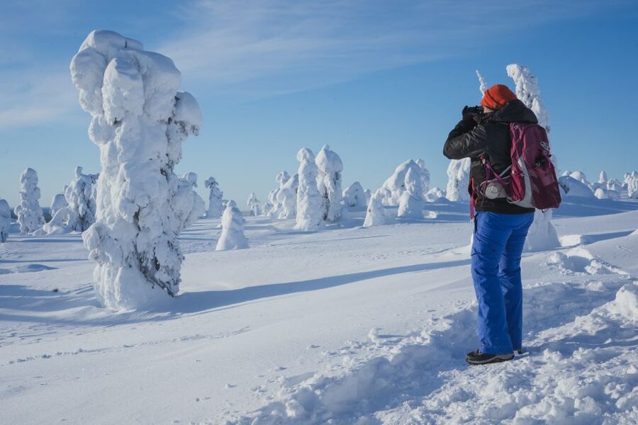 Hiking in Riisitunturi National Park with Photographer - Photo Stops and BBQ at the Campfire: A Break You Can Feel